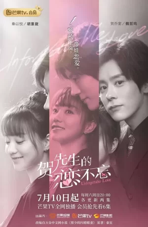 贺先生的恋恋不忘下饭版海报