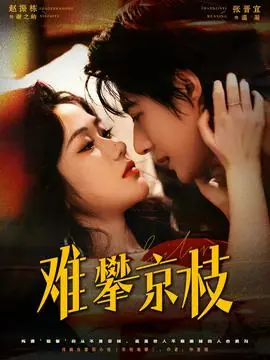 难攀京枝海报