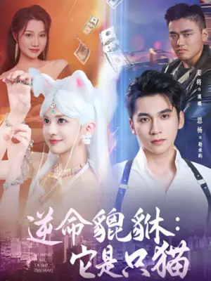 逆命貔貅:它是只猫海报