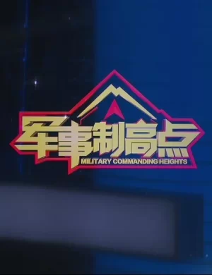 军事制高点2024海报