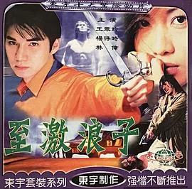 现代驯悍记海报