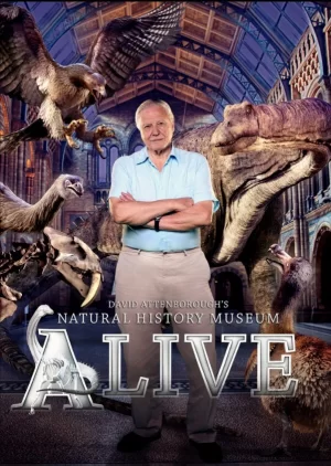 爱丁保罗夫爷爷的博物馆奇妙夜海报