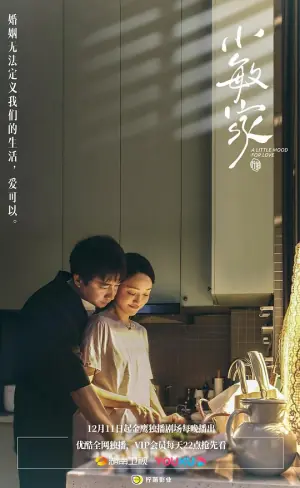 小敏家DVD版海报