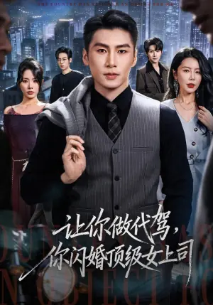 让你做代驾,你闪婚顶级女上司海报