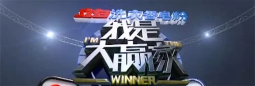 我是大赢家2015海报