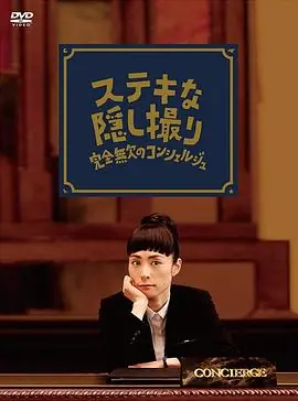 了不起的窃照:完美的接待员海报