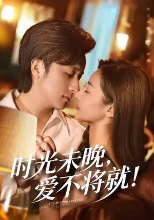时光未晚爱不将就海报