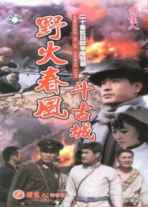 野火春风斗古城海报