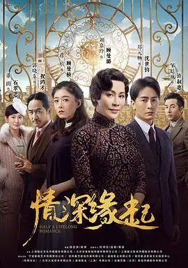 情深缘起海报