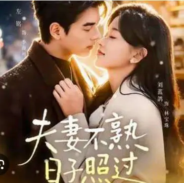 夫妻不熟子照过(日语)海报