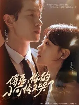 傅总,你的小可怜又哭了海报