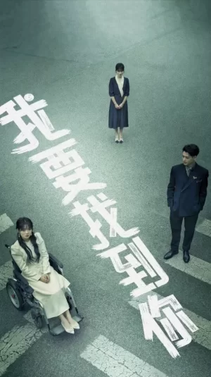 我要找到你海报