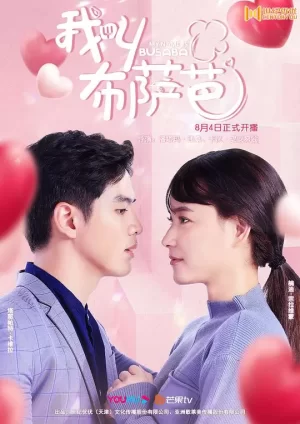 我叫布萨芭(国语)海报