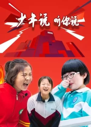 少年说听你说海报