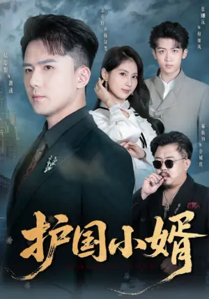 护国小婿海报