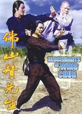 佛山赞先生海报