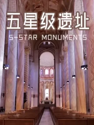 五星级遗址海报