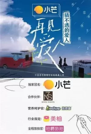 猜不透的爱人海报