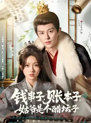 钱串子,账本子,姑爷是个醋坛子海报
