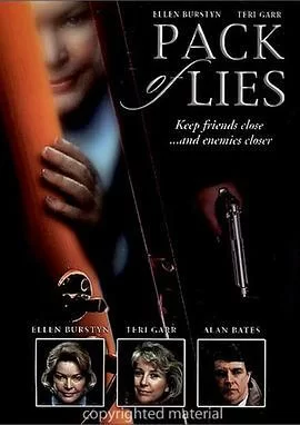 背叛的诺言海报