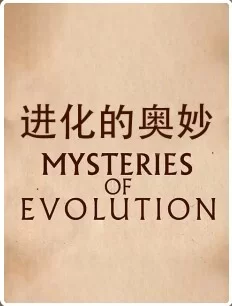 进化的奥妙海报
