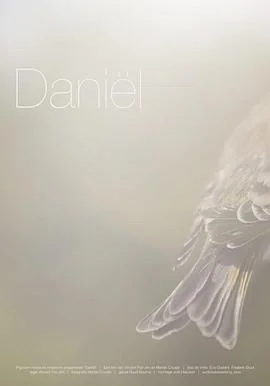 丹尼尔的半生缘海报