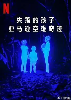 失落的孩子:亚马逊空难奇迹海报