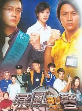 暴风刑警海报