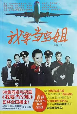 我要当空姐海报
