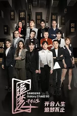 追梦人之开合人生海报