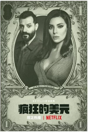 疯狂的美元海报