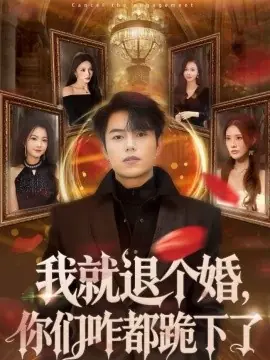 我就退个婚,你们咋都跪下了海报