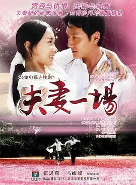 夫妻一场海报