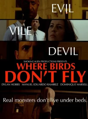 鸟儿不会飞的地方海报