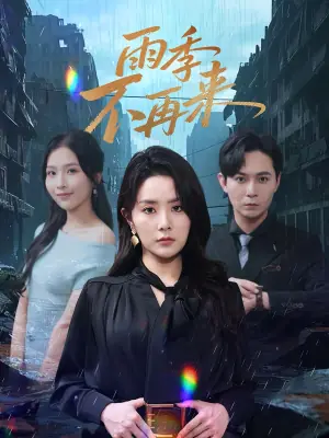 雨季不再来海报