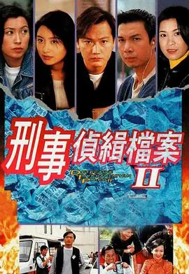 刑事侦缉档案2(国语)海报