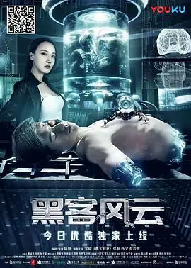 黑客风云海报