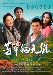 芳草满天涯海报