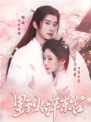 野火淬东宫海报