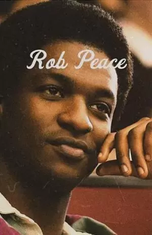 被盗的和平海报