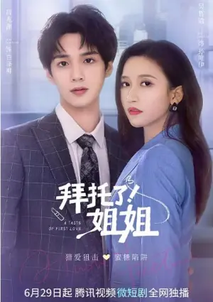 拜托了!姐姐海报