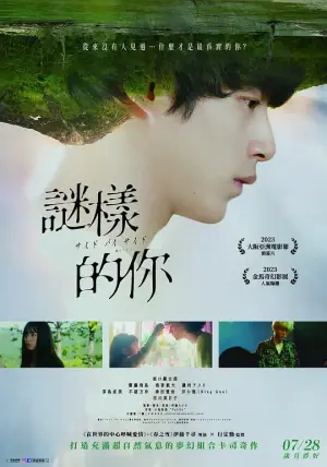 谜样的你海报