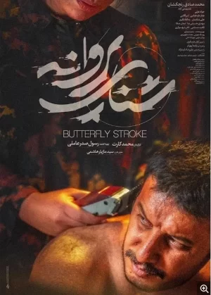 溺水的蝴蝶海报