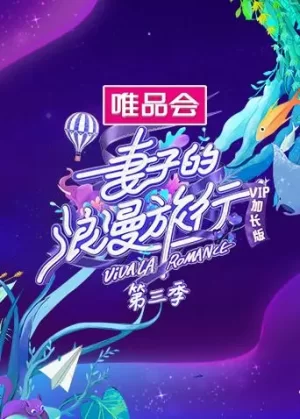 妻子的浪漫旅行3VIP加长版海报