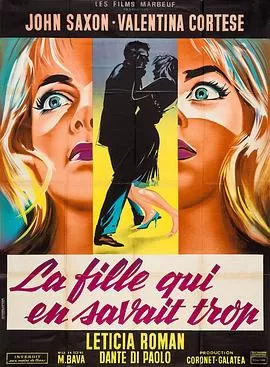 知道太多的女孩[电影解说]海报