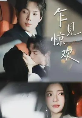 乍见惊欢海报