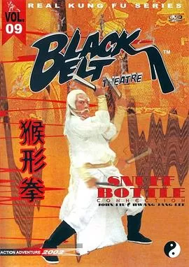 神腿铁扇功海报