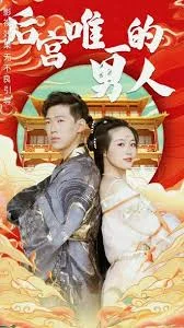 后宫神医太凶猛-后宫唯一的男人海报