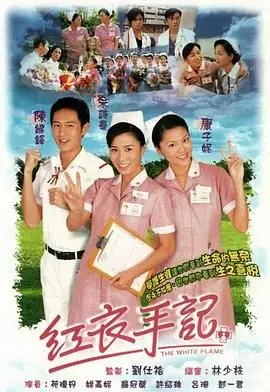 红衣手记(粤语)海报
