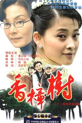 香樟树海报